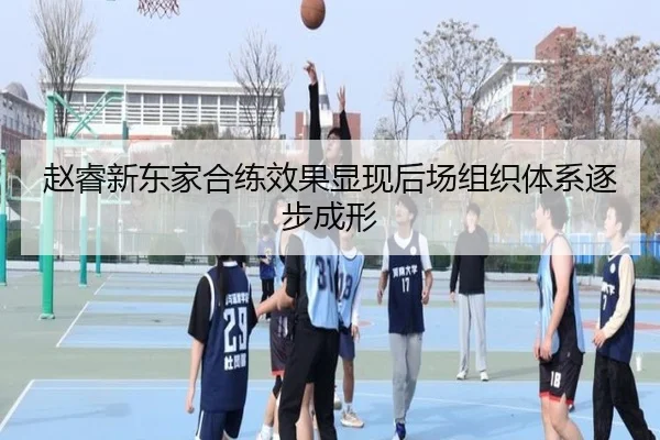 赵睿新东家合练效果显现后场组织体系逐步成形